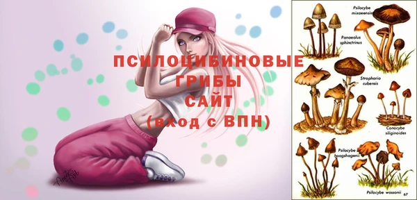 скорость Богородицк