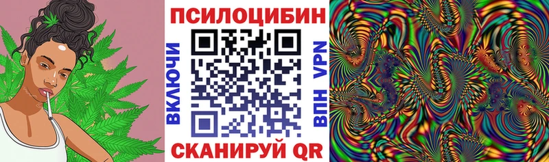 kraken tor  Богучар  Галлюциногенные грибы GOLDEN TEACHER 
